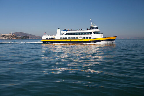 blue and gold fleet cruising on the water