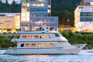 Crystal Dolphin | Cruising at Dusk