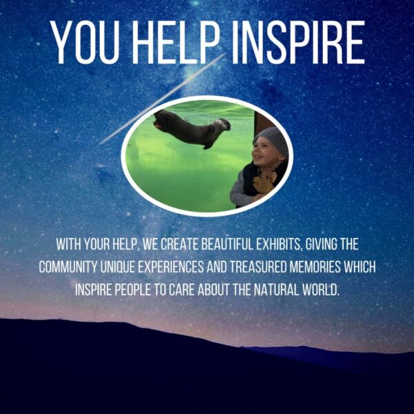 donations-give-slide-03-600x600