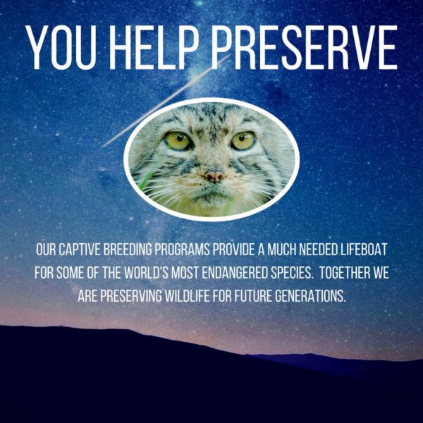 donations-give-slide-04-600x600