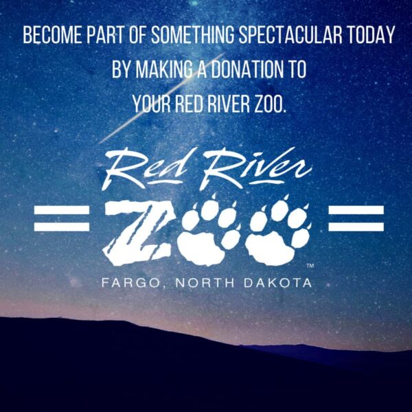 donations-give-slide-05-600x600